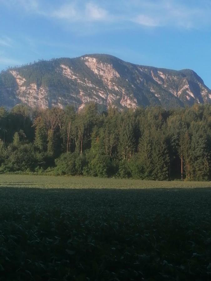 Appartment Resi Wohlfuehlen Und Relaxen Eberndorf Esterno foto